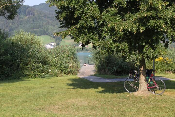 Wunderschoene Ferienwohnung Mit Seeblick Zell am Moos Exterior foto